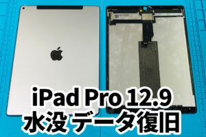 水没や初期化などiPad Proの不具合、サポートもスママモ昭和店までお任せください！